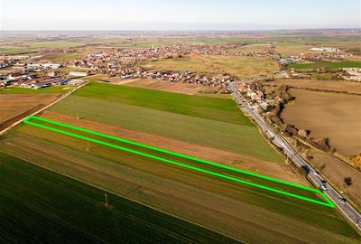 RECO teren 5000mp cu deschidere la DN19 Tamaseu - 6