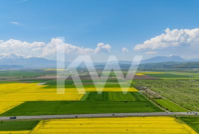 Teren 10.600 mp în Codlea – ideal pentru investiție industrială - 9