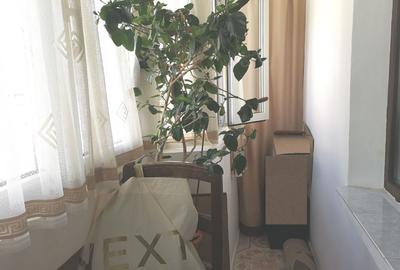 Apartament 3 camere renovat, etaj 5, bloc solid, zona Parc Sebastian - 11