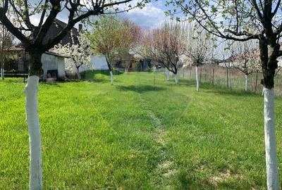 De vânzare casă cu 3 camere și teren 1090 mp în Ant - 9