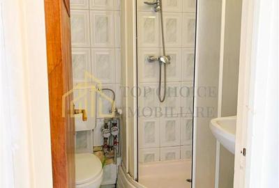 GARSONIERA IEFTINA SI BUNA - TEIUL DOAMNEI - 4/10 - INVESTITIE - 7