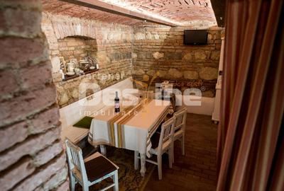 Studio 50 mp, curte interioara, pretabil regim hotelier, situat Central - 11