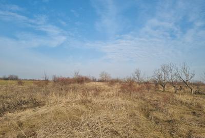 Teren de vanzare 2500 mp Adunatii Copaceni- in spatele Primariei - 1