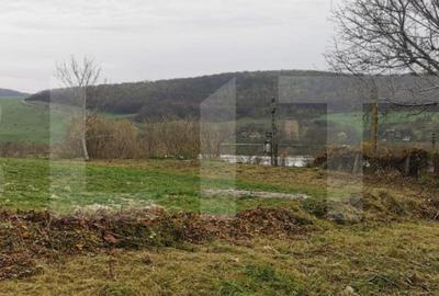 Investitie ! Casa individuala 1 camera, 51 mp, 3000 mp teren, Geaca ! - 5