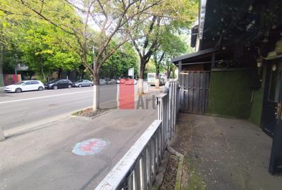 Spatiu comercial de inchiriat in zona Berceceni (Bulevard) - 25