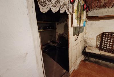 Casa 4 camere libera la vanzare TARLUNGENI - 36