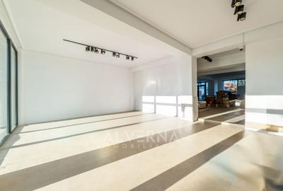 Spatiu comercial 165mp | 11ml vitrina | 2 grupuri sanitare | Borhanci - 1