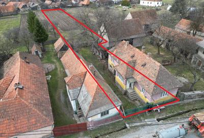 Casă cu 3 camere 75 M² utili cu 2900 M² teren - 10