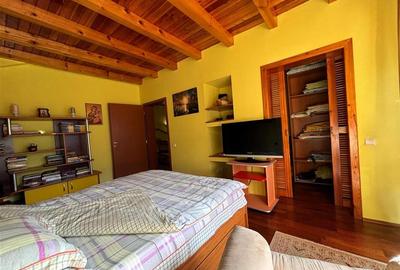 Vila Exclusivista Piatra Arsa Busteni - 8
