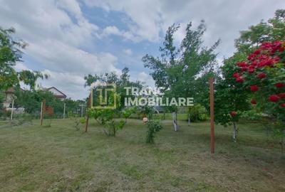 Casă generoasă cu 11 camere + spațiu comercial inclus | Calea Radnei - 25