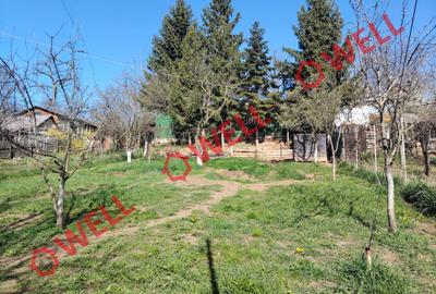 Teren cu casă de vânzare în Sfântu Gheorghe, pe Aleea Căminului! - 2