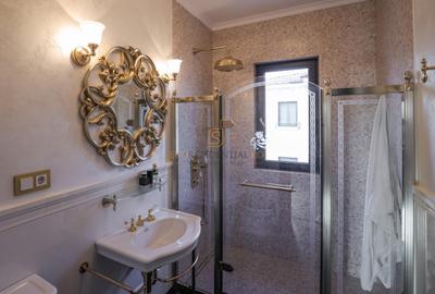Apartament exclusivist tip duplex, 7 camere + curte, zona Parcul Carol - 23