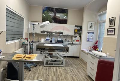 Spațiu Comercial de Vânzare | Bulevardul Traian, Piatra-Neamț - 10