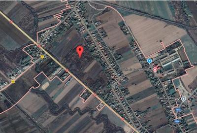 Teren Construcții intravilan de 29137 mp, în Vest