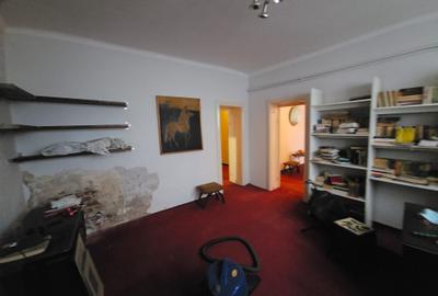 Sala Palatului Cismigiu, 105mp, centrala, demisol inalt, DEOSEBIT, solid, subsol - 15