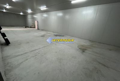 HALA DE INCHIRIAT I 2100 MP I ALBA IULIA I ZONA CENTRU I - 13