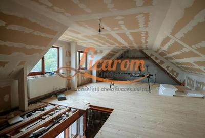 CASA SASEASCA comuna VULCAN,zona foarte buna,teren 3000 mp - 20