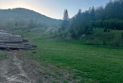Teren intravilan în Marginea - 1