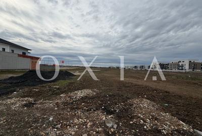 OX708 Teren 974 mp, Buziasului langa Hornbach - 1