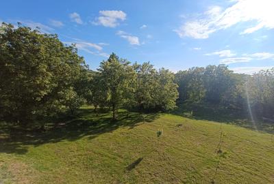 Casa / Proprietate deosebită cu 8142 MP teren | Oarda | - 4