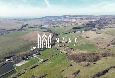 Investiție I Teren extravilan 67.500 mp I Dealul Dăii- Sibiu - 1