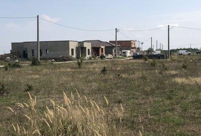 Teren Mosnita Noua, zona Albina - 3