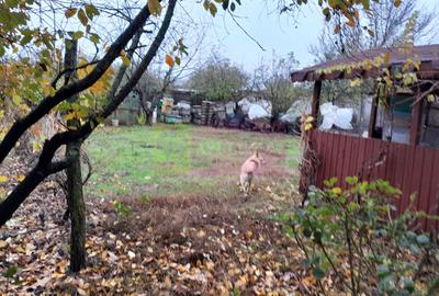 DE VANZARE CASA IN COM. BRANESTI (IF) - 45