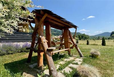 Refugiu pretios:jacuzzi, lemn masiv,2.000 mp teren,4 dormitoare, cuptor, investi - 16