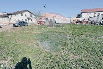Teren intravilan industrial 1000 mp – Bariera Vâlcii, Centura de Nord - 3