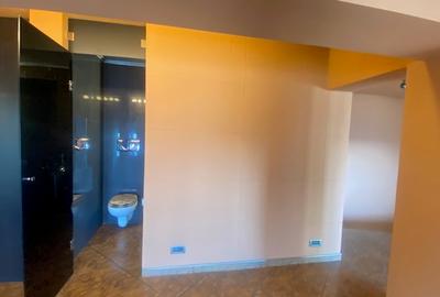 Bd. Unirii 5 camere Loft ! - 17