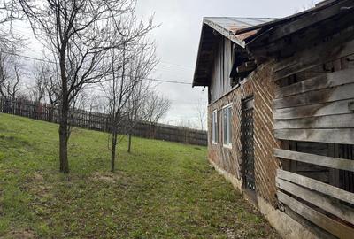 Teren intravilan 1518 mp, constructie, Sotrile, Prahova - 24 EUR/mp - 8