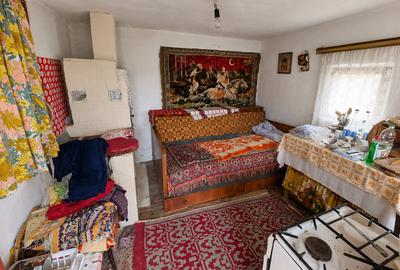 Teren de vanzare + casa in Gorghesti, Bacau – 7.391 mp, zona linistita de deal - 9