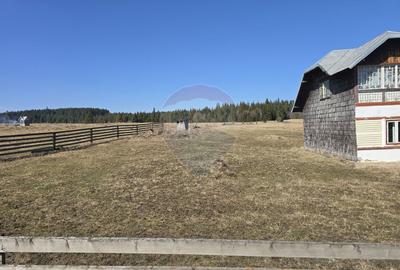 Teren 23,765mp Poiana Stampei / Strada CASOI - 1