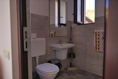 Vila tip Ranch langa Padure - 30