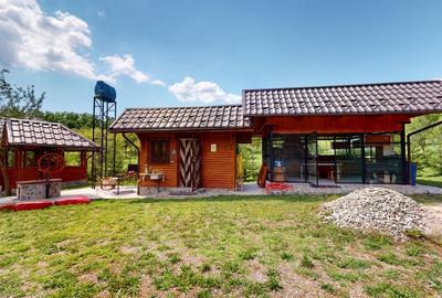 Proprietate unică în Piatra Doamnei – Corbi, Argeș - 9