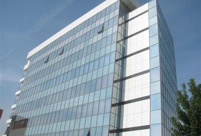 Birou, 46 mp în Virtuții