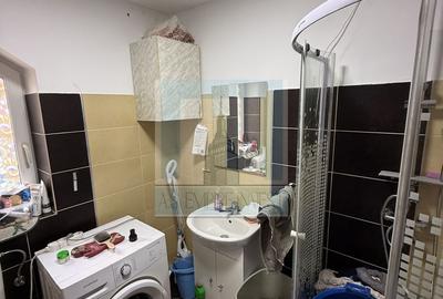 Casa/vila P+E+M, individuala ,730 mp teren-Timișul de jos/Dâmbul Morii - 10