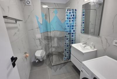 Apartament 2 Camere Otopeni - 14