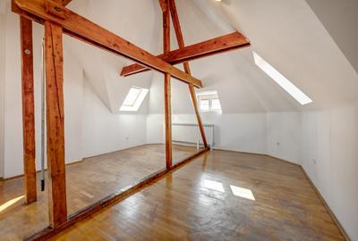 Vila eleganta, arhitectura deosebita, 7 camere, renovata, langa Parcul Kiseleff - 39