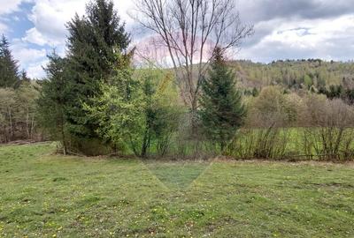 Poienita 2800mp, Covasna, zona hotel Clermont, inconjurat de padure - 6