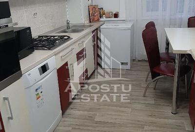 Apartament cu 2 camere de vanzare, decomandat, zona Sagului, Timisoara - 4