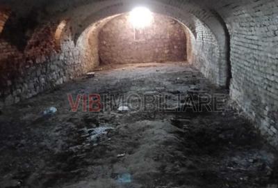 Conac apartinand lui Cicio POP, judet ARAD - 7