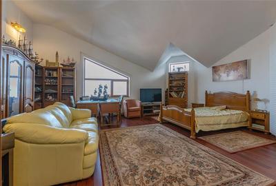 FILM! Castelariu: spectacol panoramic, locatie prestigioasa, exclusivist confort - 16