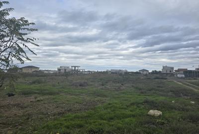 Anunturi vanzari terenuri in Palazu Mare - 1