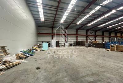 Hala 600 mp constructie noua, de inchiriat,  Sacalaz - 4
