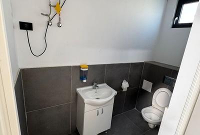 Spatiu 600 mp depozitare si productie, logistic ,Chitila - Rudeni - 5