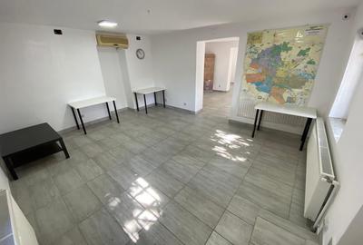 Apartament in vila,parcul Carol,parter, 6 camere, 4 bai, 2 bucatarii, pt birou - 1