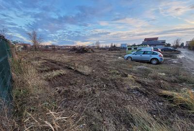 Proiect cu autorizatie 21 case, Sos Cernica, Lebada Lac, 5036 mp teren - 8