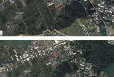 Teren Intravilan ***27,580mp*** // Pădurea Băneasa - 11