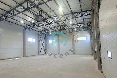 Hala industriala 300 mp Parc Industrial Prejmer,  Brasov - 6